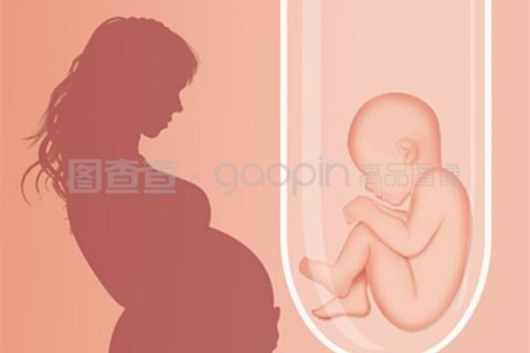 http://shenzhen.hy-ly.com/post/208.html|深圳人工试管